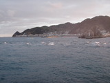 保戸島水道の流れ (1)
