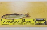 Kちゃんが釣った27センチ鮎