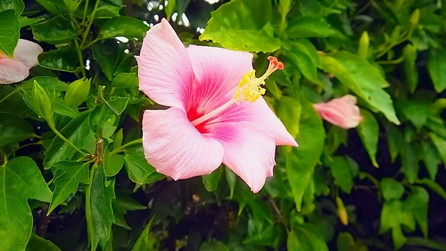 DSC_2353~2