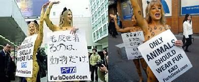 米動物愛護団体の反対運動!(日本と韓国)