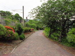 20140610_10841