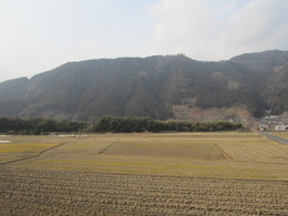 20120127_00383