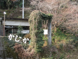 20120127_00327