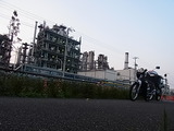 RIMG0061