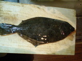 hirame