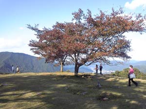 竹田城16