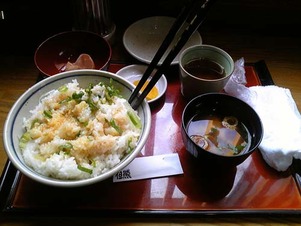 TKG但熊2