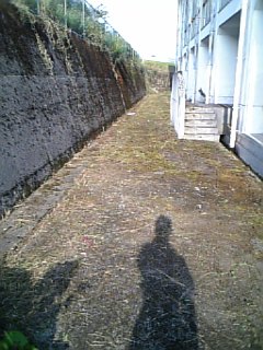 奉仕作業1