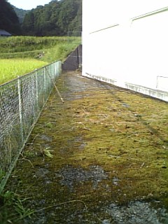 奉仕作業2