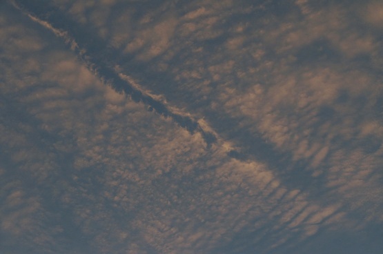 06a