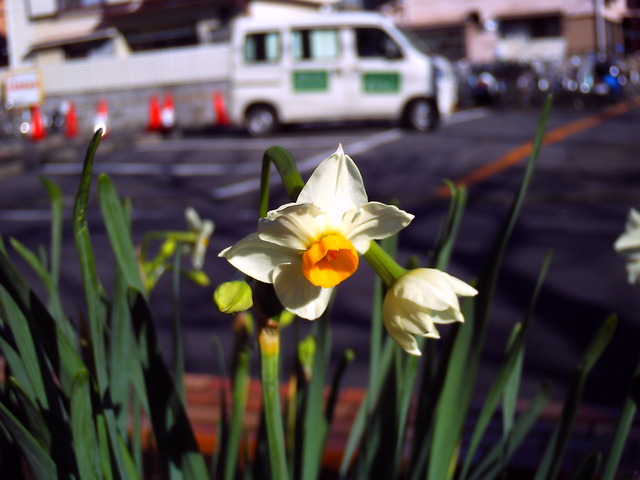 20101223_0008