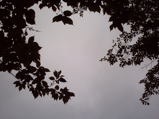 20110507_v0015