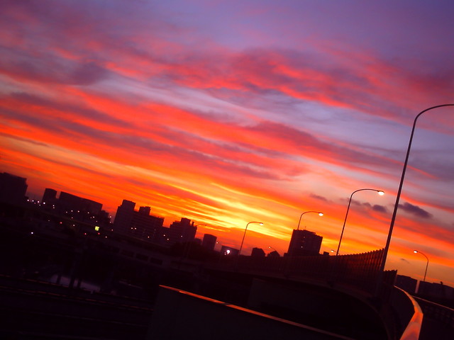 20110608_v0029