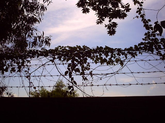 20110513_v0588