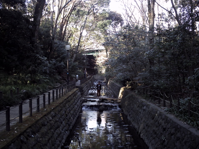 20110109_0042