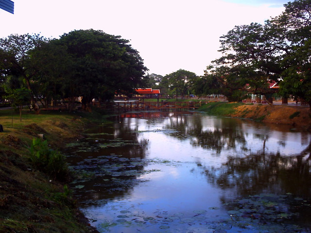 20110512_v0431
