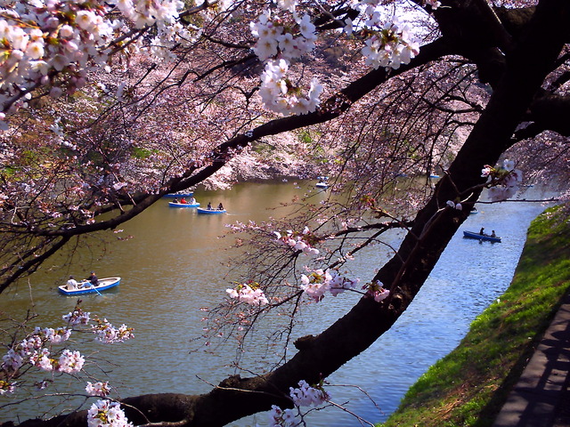 20110406_v0022