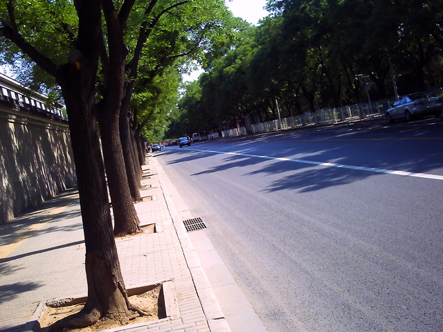 20110612_v0286