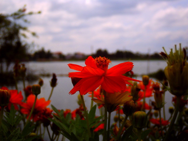 20110510_v0027