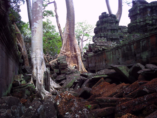20110511_v0120