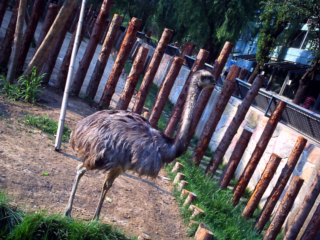 20110613_v0582