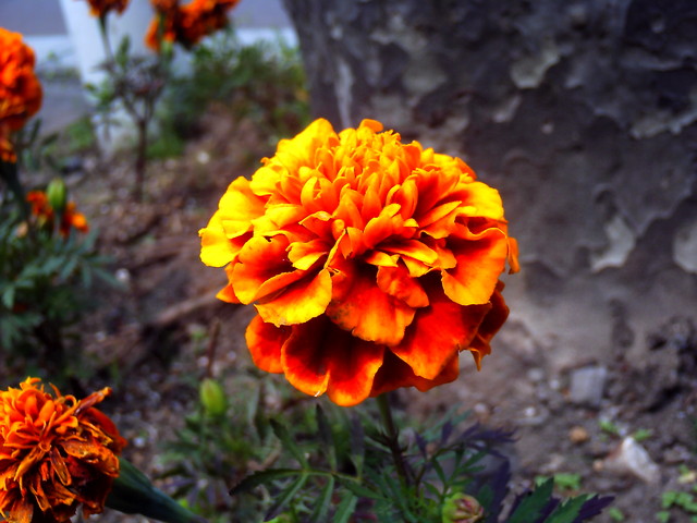 20110622_v0081