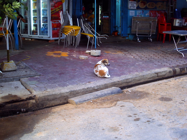 20110512_v0406
