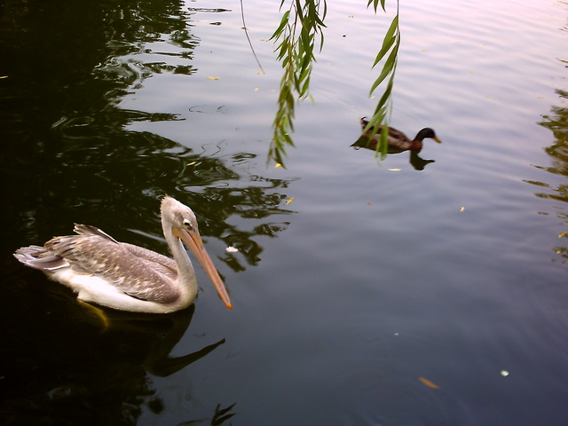 20110613_v0568