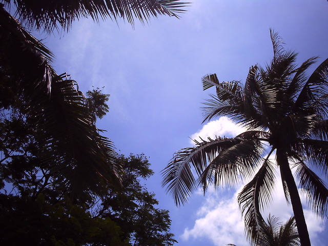 20110510_v0017