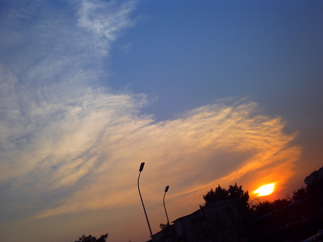 20110613_v0649