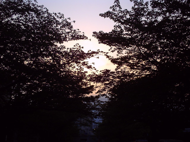 20110505_v0002