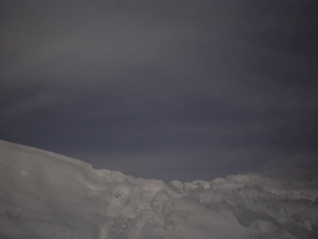 20110206_v0024