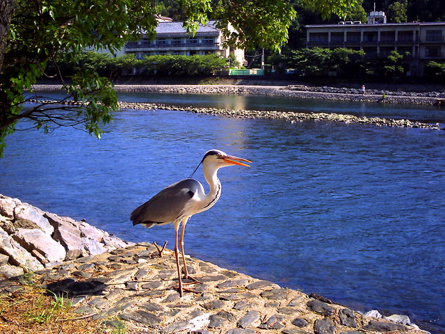 20110629_v0178