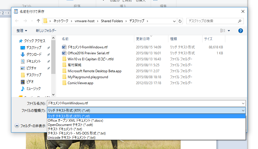 wordpad_save_type