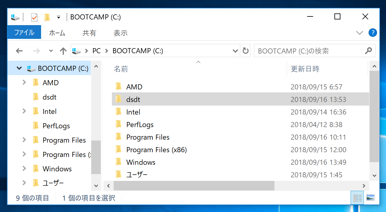 dsdt_folder