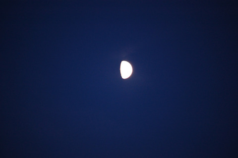 D40_20090829_164455_01