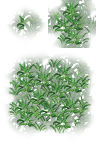 20180503a1