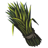 item05