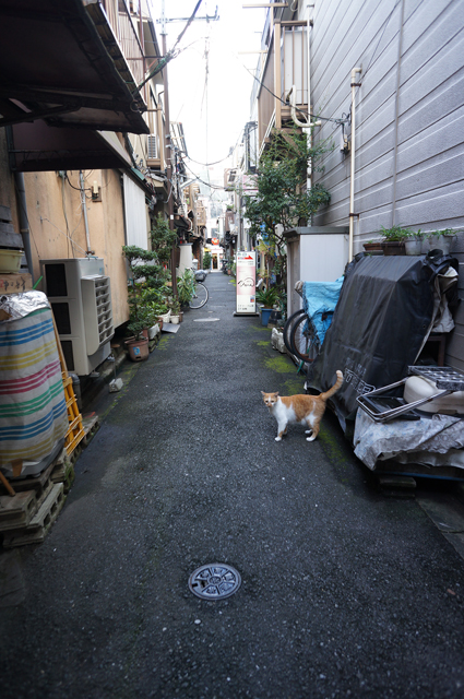 DSC00784