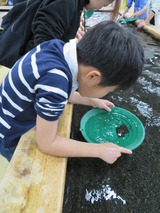 土肥金山にて