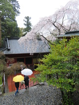 久能山東照宮にて