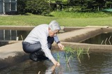 天皇陛下が田植え 2017年5月22日