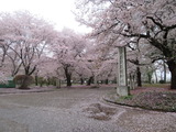 埼玉県護国神社