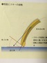 6A37FFD2-18C7-40C3-9504-E9B0AA3F2E30