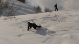 IMAG1522_BURST020
