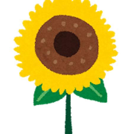 図6