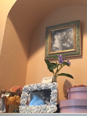 2015-06-26-15-00-35