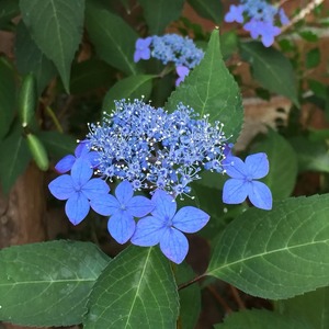 2015-05-27-07-06-58