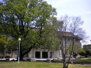 0DSCN0681