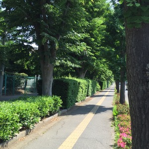 2015-05-27-09-06-38